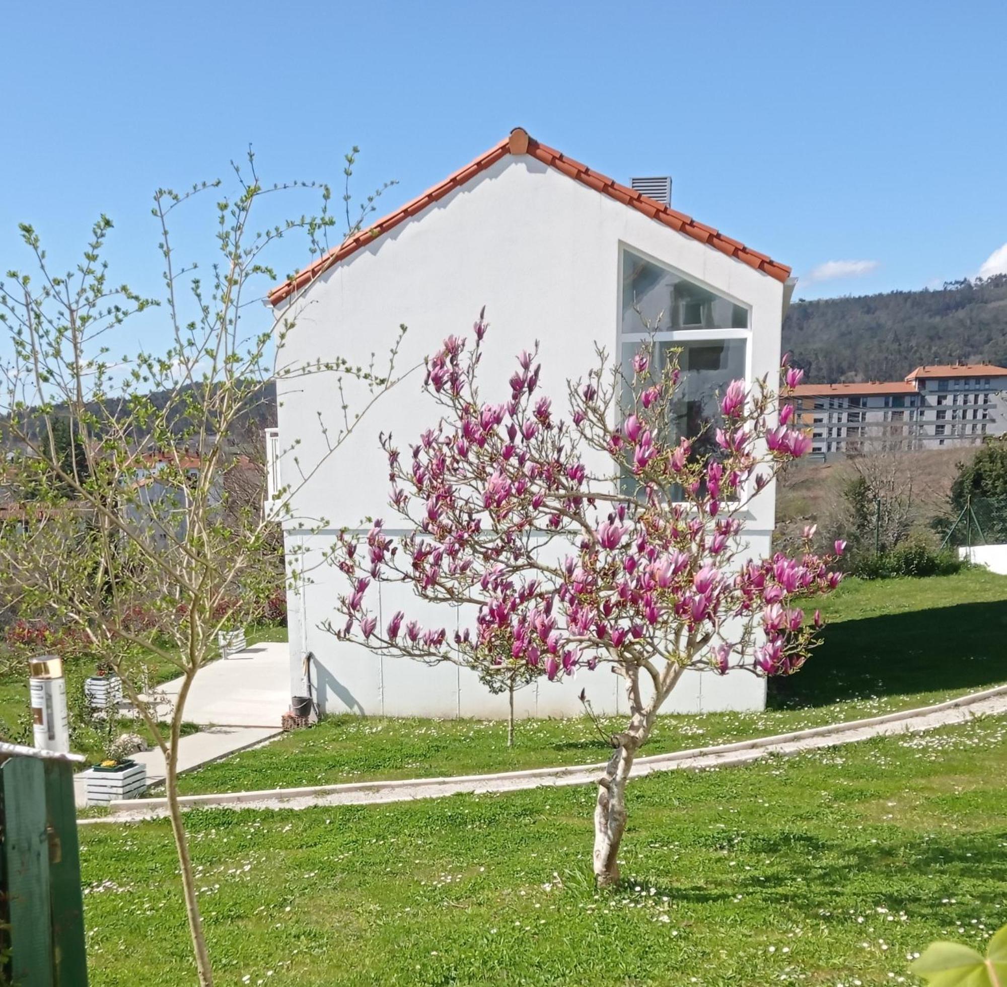 Casas Turisticas Lar Jardin - Parking Privado سانتياغو دي كومبوستيلا المظهر الخارجي الصورة